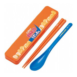 َq fUC Jr[ |eg`bvX   Xv[ RrZbg J`J`Ȃ CCS3SA XP[^[ skater