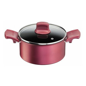 eBt@[ T-fal IH[WEA~ebh V`[|bg 20cm G26244yz