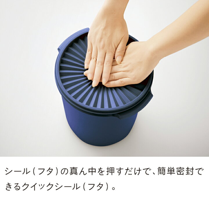楽天市場】タッパーウェア マキシクイーンデコレーター 密封 密封 保存 