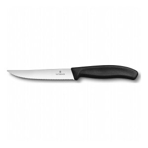 �r�N�g���m�b�N�X �X�C�X�N���V�b�N �O�����i�C�t �u���b�N 6.7933.12E VICTORINOX