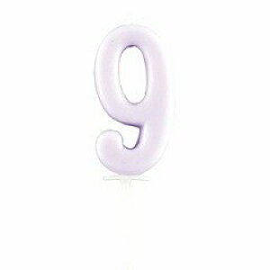 L DL6009 CMLh pXe 9 낤