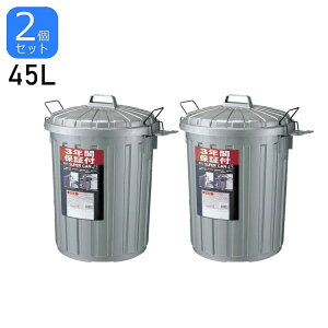 2個セット ゴミ箱 ポリバケツ スーパーカン(L) ガンメタリック L-112C GM 屋外 ダストボックス おしゃれ シンプル モダン 45L(代引不可)【送料無料】