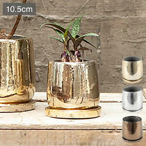 DULTON _g Aؔ Eh|bg S a10.5cm uY 킢  AJ Be[W v[g Mtg v`Mtg(s)