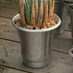 DULTON �_���g�� �|�b�g&�\�[�T�[ L �A���~�j�E�� BOTANY �{�^�j�[ �ϗt�A�� �T�{�e�� �� ���|�b�g �A�ؔ� ���킢�� ������� �A�����J�� ���B���e�[�W�� �v���[���g �M�t�g �v�`�M�t�g(����s��)