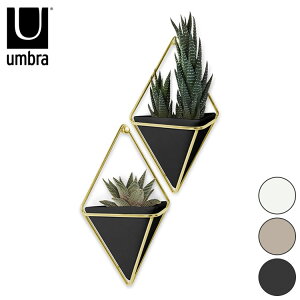 umbra Au v^[ EH[I[KiCU[ S gbO 2 ϗtA CeA Ǌ| zCg ubN uX RN[g Ro[ k  11cm s7cm 18.4cm(