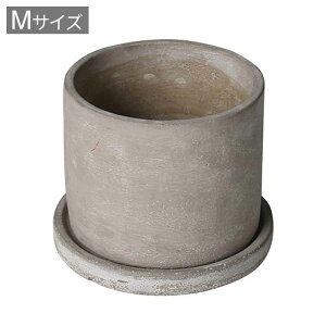 DULTON _g Aؔ Zg|bg Eh M K[f|bg  |bg A 킢  AJ Be[W v[g Mtg v`Mtg(s)