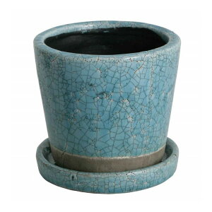 DULTON �_���g�� �t�����[�|�b�g �J���[ �O���[�Y�h �|�b�g 5���� �^�[�R�C�Y ���킢�� ������� �A�����J��(����s��)