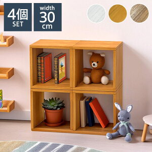 I[vbN 4Zbg 30×30×30 bN ςݏd gݍ킹R [ fBXvC ؖڒ VFt X^bLOVFt {I I[vVFt I[vbN I [ I i`