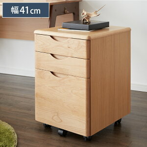 ꐶI S fXNS ECTO 41 i LX^[t q rO  qǂ [ 3i ot [S wKfXNTChS Vw 1N wj GNg ISSEIKI(