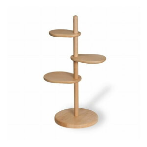 Latree(g) GRACEV[Y C̉ԑ X^hEt r[` ԑ C ؐ  ˉƋ HIDAKAGUyz