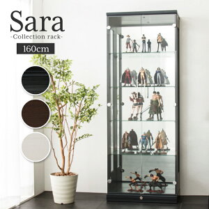 T60 [^Cv RNVbN tBMAP[X RNVP[X RNV{[h 60cm 160cm s30cm ؐ zCg ubN uE LIP[X I KXI 