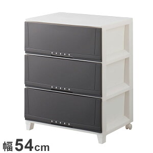 Vn vtBbNX [P[X 5403 uE ߗގ[ [P[X `FXg N[[bg[ [ [ tenma 54cm s42cm 68cm(s)yz