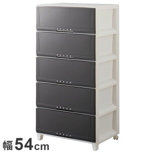 Vn vtBbNX [P[X 5405 uE ߗގ[ [P[X `FXg N[[bg[ [ [ tenma 54cm s42cm 108cm(s)yz