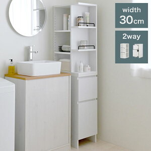 DOLLYԎ[ DOK160-30SS WH zCg 30cm  ʏ [ @ h[[ Lb`ԉƋ Lb`[ VN ȃXy[X ①ɉyz