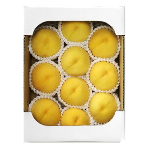  F̓ Ε ~Mtg N Nn NNn 񂹃O v[g l ̂ 蕨 j  䌩 Hi(s)yz