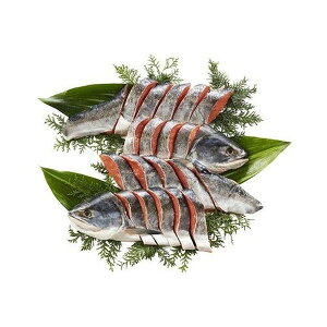 kCY Vgpؐg v1.4kg Ε ~Mtg N Nn NNn 񂹃O v[g l ̂ 蕨 j  䌩 Hi(s)yz