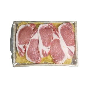 nƖ2N s^ Og؃[XXЂ Hi Mtg v[g  l ̂ 蕨 LO j  j j n oYj j 䌩 Cj 䕧O u 