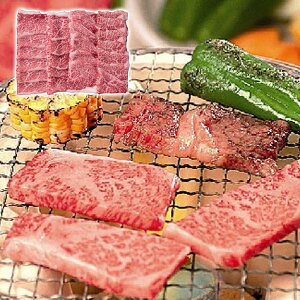  _˃r[t ԏāEē Ε ~Mtg N Nn NNn 񂹃O v[g l ̂ 蕨 j  䌩 Hi(s)yz