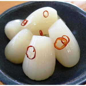 BY ӂ낢 BY sh 傤 5 傤Ђ bLE Ε ~Mtg N Nn NNn 񂹃O v[g l ̂ 蕨 j  䌩 Hi