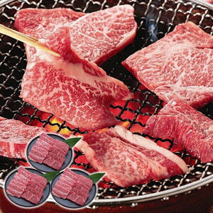  MBv~Aē 600g Ε ~Mtg N Nn NNn 񂹃O v[g l ̂ 蕨 j  䌩 Hi(s)yz