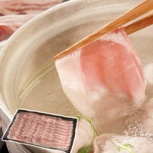  MBIC Ԃ 500g  Ε Mtg 蕨 v[g j LO  Hו ؓ l(s)yz