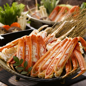 {C킢ɋr Ε ~Mtg N Nn NNn 񂹃O v[g l ̂ 蕨 j  䌩 Hi(s)yz