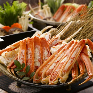 {C킢ɋr Ε ~Mtg N Nn NNn 񂹃O v[g l ̂ 蕨 j  䌩 Hi(s)yz