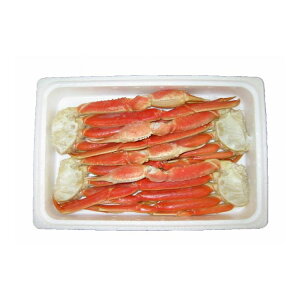 {C킢ɋr Ε ~Mtg N Nn NNn 񂹃O v[g l ̂ 蕨 j  䌩 Hi(s)yz