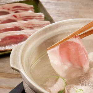  MBIC؂Ԃ Ԃ  Ԃԓ  Ε ~Mtg N Nn NNn 񂹃O v[g l ̂ 蕨 j  䌩 Hi(