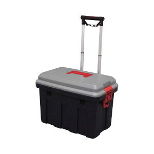 IRIS RV�L�����[ 650 �O���[/�_�[�N�O���[�� RV650C(������s��)�y���������z