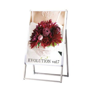 TOKISEI �|�X�^�[�O���b�v�X�^���h�Ŕ� �����p A�^ B2�ЖʃV���o�[ PGSKB2KS(������s��)�y���������z