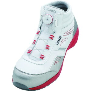 IGNIO _CZ[teBV[Y A zCg29.0cm IGNIO IGS1058TGFWH29.0 ی SC ƌC veNeBuXj[J[(s)yz