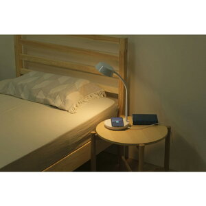 IRIS 537198 LEDfXNCgQi[dV[Y uL^Cv EF zCg IRIS LDLQFDLW H Ɩpi Ɠ Ɩpi dCX^h(s)yz