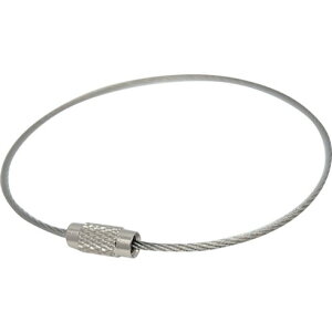 jbT`FC XeXL[C[(100) jbT`FC SKE100  z z C[v(s)yz