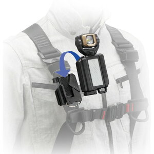 ^W} LEDZtECgSF501DZbg ^W} LESF501DSP H Ɩpi Ɠ Ɩpi wbhCg(s)yz