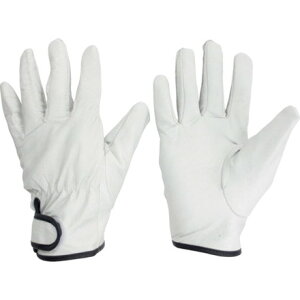 ~hS ؖ{vܓ LL ~hS ی Ǝ v(s)