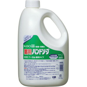 Kao Ɩppԉnh\[v 2L ԉO[vJX^}[}[PeBO | qpi Jqpi nh\[v(s)