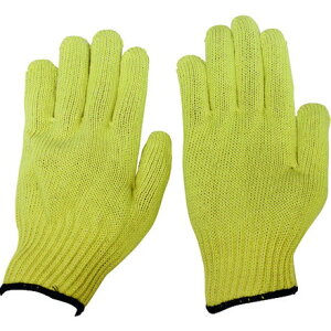 I^tN 813 A~h   ӂ ی Ǝ ϐؑn(s)