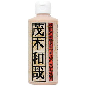 ���b�N �Ζؘa�� C00181 ���|�E�q���p�i ���|�p�i ��܁E�N���[�i�[(����s��)