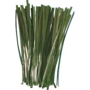 TRUSCO |prj[^C 4mm×150mm  100{ GVT150100 |pi Ήpi |xE|lbg(s)