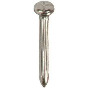 RmG XeXRmGlCNo.1 (100{) KSN1  vpi ʗpi ʗpW(s)yz