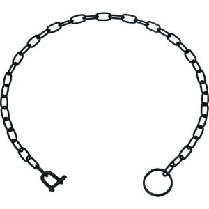 ���{ �X�e�����X �|�P�b�g�`�F�[��SP�^(�u���b�N) �S��300mm B2261(����s��)