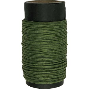 DAIDOHANT a킢[ ([)0.5mm×10m(1) 10155380  z z j(s)