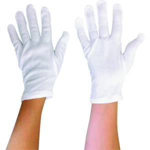 ۘaP~J ȃXX }`Ȃ MTCY 5008M ی Ǝ XX(s)