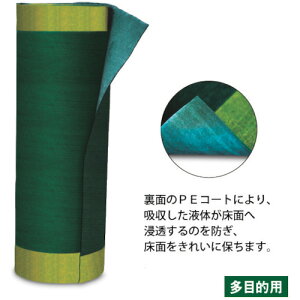 SWS Oilguard[ YG100 721027 | qpi |pi z(s)yz