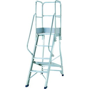 PiCa DWSpKi肷VO DWSTE4B H Ɩpi ͂ r Ƒ(s)yz