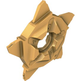 イスカル 突切加工用インサート クイックペンタ PENTA 24N-J-SL IC808G イスカルジャパン 切削工具 旋削 フライス加工工具 刃先交換式工具 PENTA(代引不可)【送料無料】