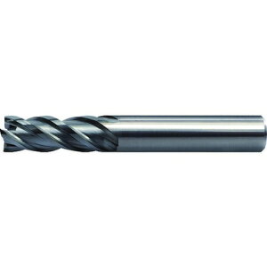 ���j�I���c�[�� ���d�G���h�~�� CXES40501250(����s��)