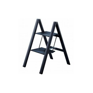 nZK XXebv 2i ubN SJ-2D(BK) JH() ͂Er (s)yz