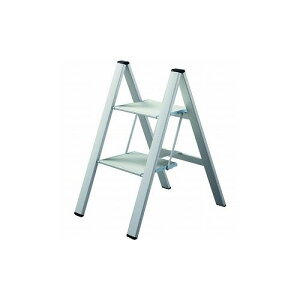 nZK XXebv 2i Vo[ SJ-2D(SI) JH() ͂Er (s)yz